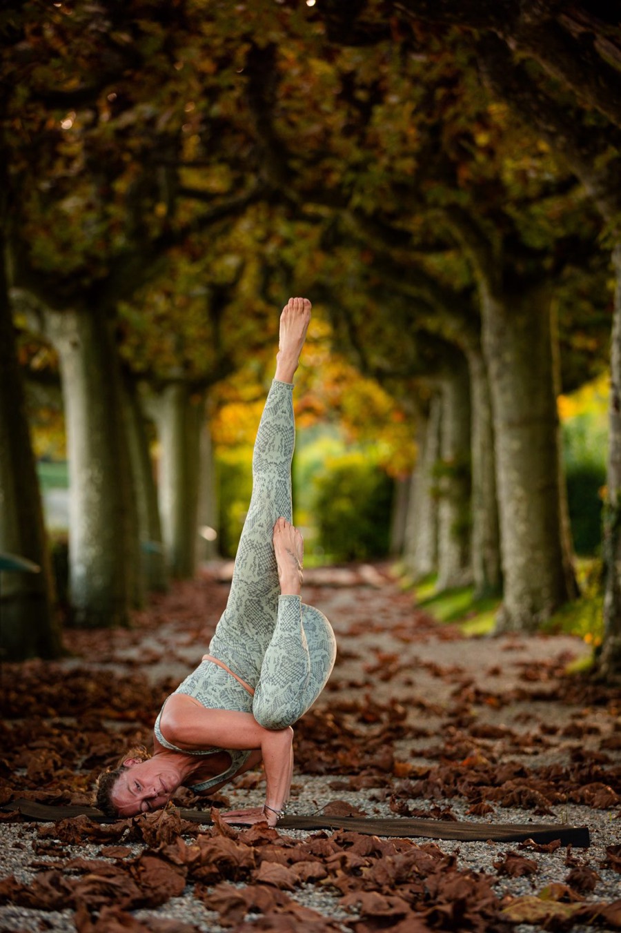 Sabine dans une inversion puissante parmi les arbres d'automne