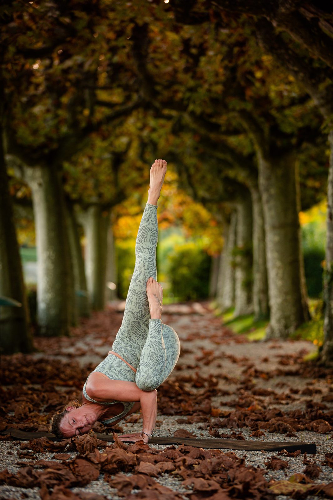 Sabine in a strong, controlled arm balance among autumn trees